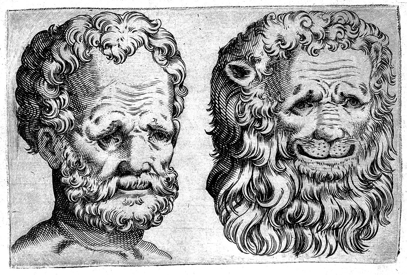 Della Porta's historical comparison of a man and a lion