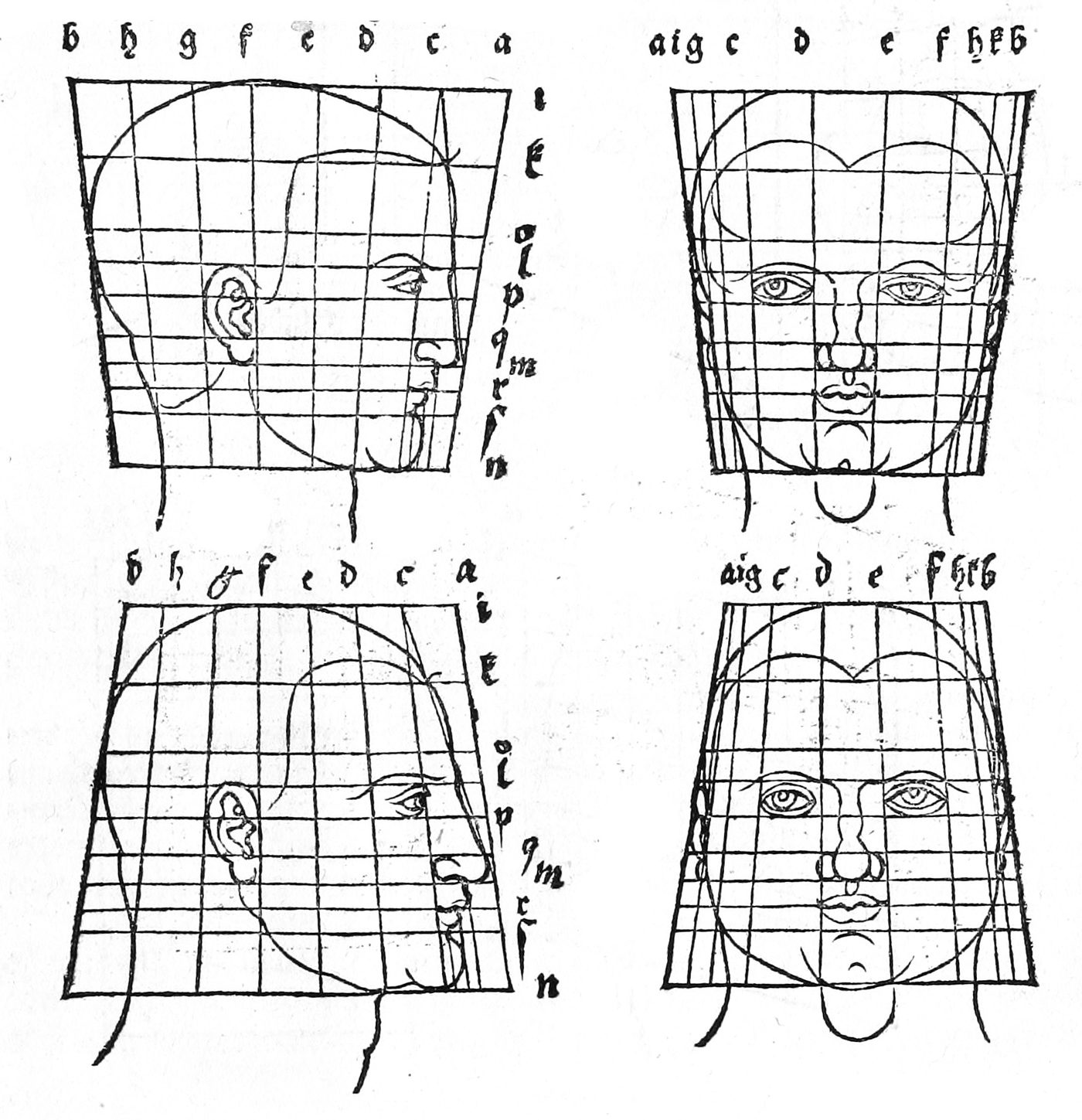 Albrecht Dürer's grid-transformed studies of human heads
